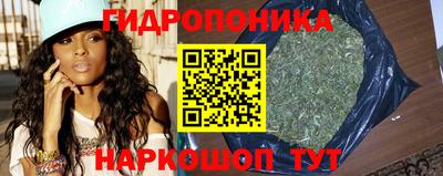 гашик Ливны