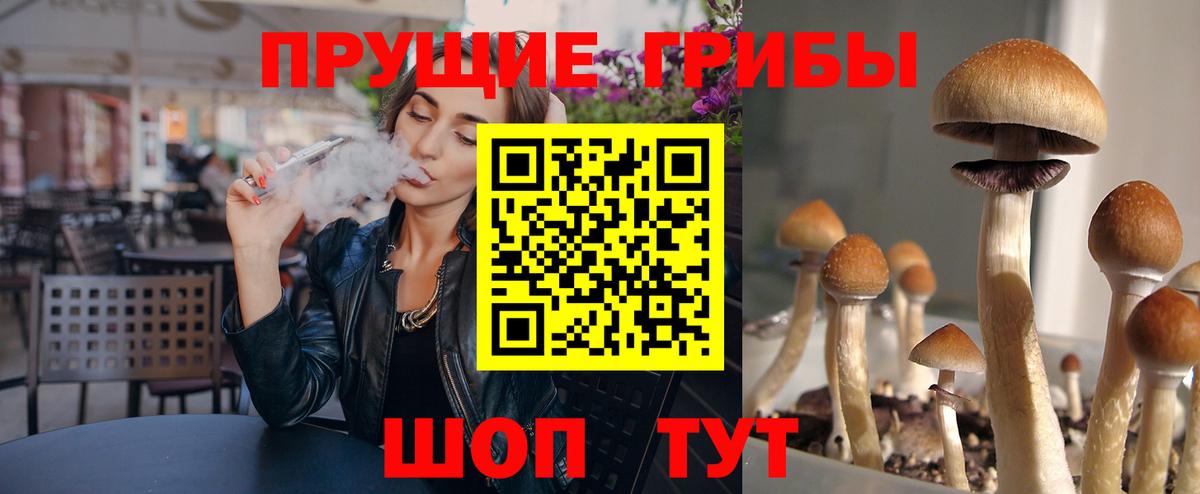 Галлюциногенные грибы Magic Shrooms  Вход с VPN  Южноуральск 